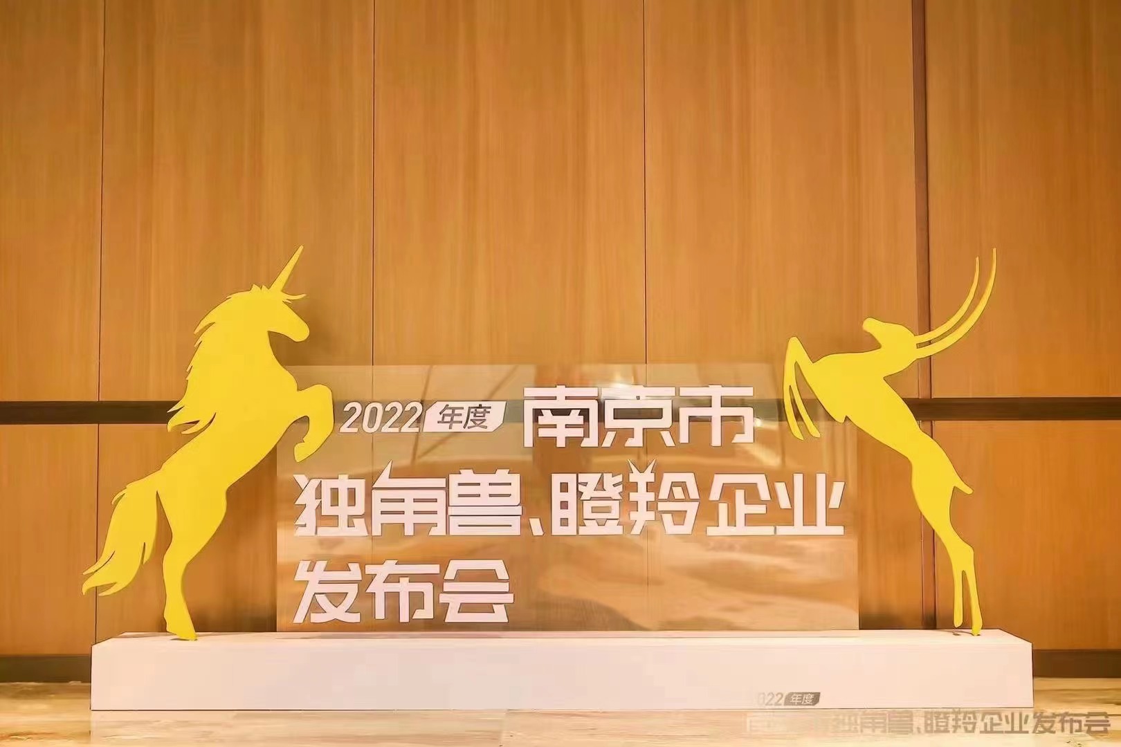 1660545948648060245.jpg